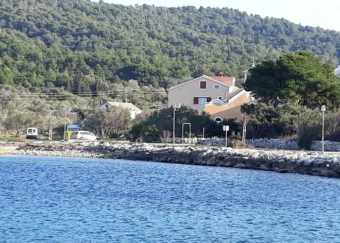 Apartments Sakarun Soline