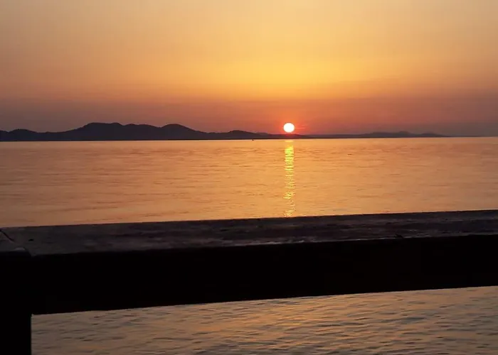 Apartments Sakarun Soline